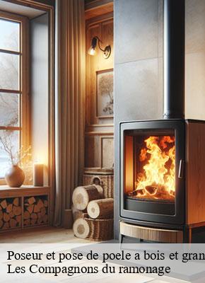 Poseur et pose de poele a bois et granulé  paradou-13520 Les Compagnons du ramonage