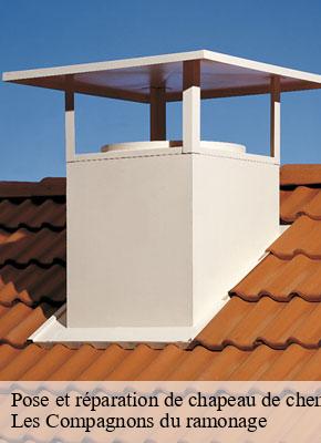 Pose et réparation de chapeau de cheminée plan-de-campagne-13170 Les Compagnons du ramonage