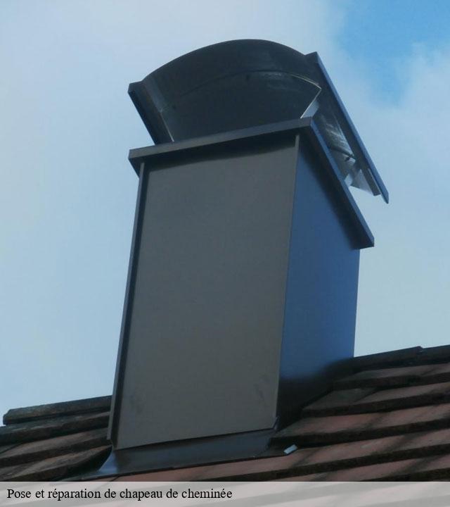 Pose et réparation de chapeau de cheminée  les-olives-13013 Les Compagnons du ramonage