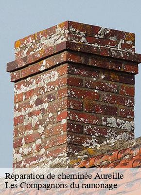 Réparation de cheminée aureille-13930 Les Compagnons du ramonage
