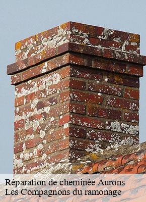 Réparation de cheminée aurons-13121 Les Compagnons du ramonage