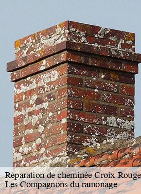 Réparation de cheminée croix-rouge-13013 Les Compagnons du ramonage