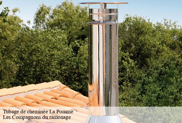 Tubage de cheminée  la-pomme-13720 Les Compagnons du ramonage