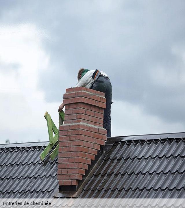 Entretien de cheminée le-sambuc-13200 Les Compagnons du ramonage